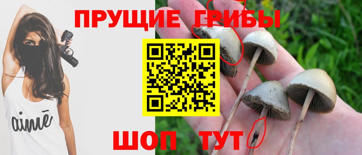 Галлюциногенные грибы мицелий  Галлюциногенные грибы мицелий  Вход с VPN  Усолье-Сибирское 